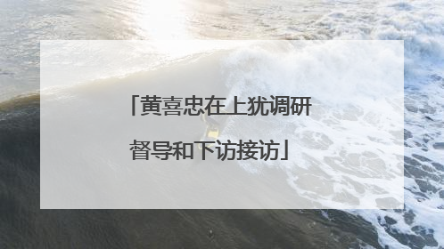 黄喜忠在上犹调研督导和下访接访