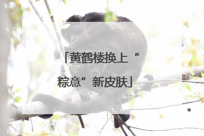 黄鹤楼换上“粽意”新皮肤