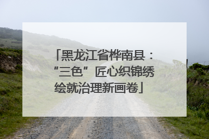 黑龙江省桦南县：“三色”匠心织锦绣 绘就治理新画卷