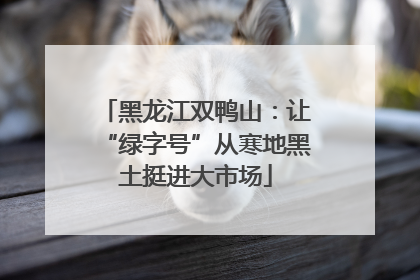黑龙江双鸭山：让“绿字号”从寒地黑土挺进大市场