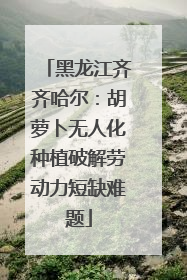 黑龙江齐齐哈尔：胡萝卜无人化种植破解劳动力短缺难题