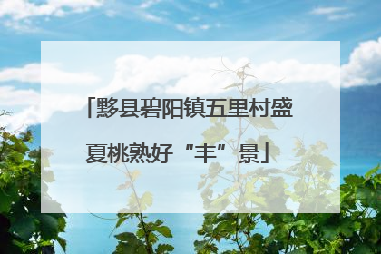 黟县碧阳镇五里村盛夏桃熟好“丰”景