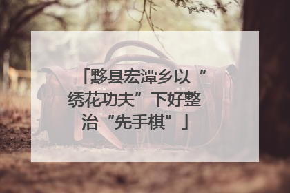 黟县宏潭乡以“绣花功夫”下好整治“先手棋”