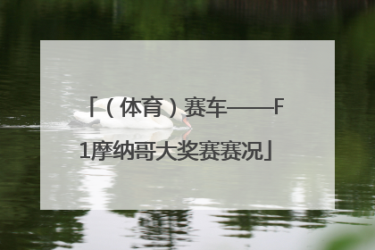 （体育）赛车——F1摩纳哥大奖赛赛况