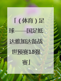 （体育）足球——国足抵达雅加达备战世预赛18强赛