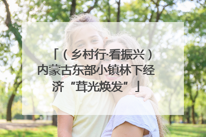 （乡村行·看振兴）内蒙古东部小镇林下经济“茸光焕发”