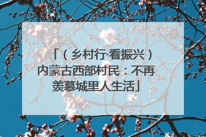 （乡村行·看振兴）内蒙古西部村民：不再羡慕城里人生活