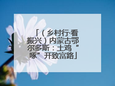 （乡村行·看振兴）内蒙古鄂尔多斯：土鸡“啄”开致富路