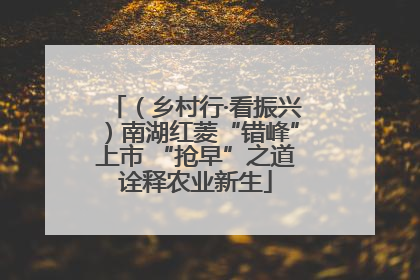 （乡村行·看振兴）南湖红菱“错峰”上市 “抢早”之道诠释农业新生