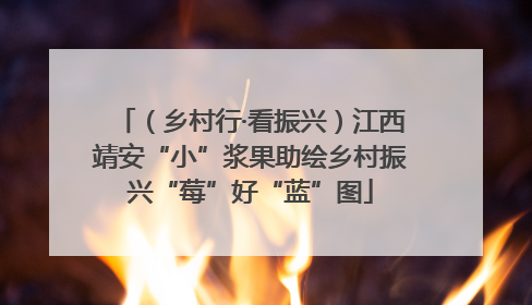 （乡村行·看振兴）江西靖安“小”浆果助绘乡村振兴“莓”好“蓝”图