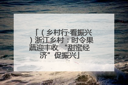 （乡村行·看振兴）浙江乡村：时令果蔬迎丰收 “甜蜜经济”促振兴