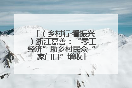 （乡村行·看振兴）浙江嘉善：“零工经济”助乡村民众“家门口”增收