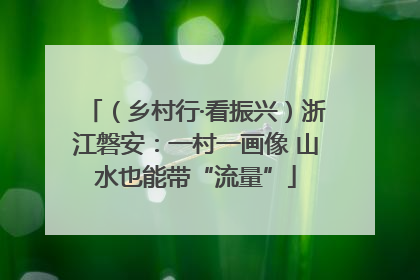 （乡村行·看振兴）浙江磐安：一村一画像 山水也能带“流量”