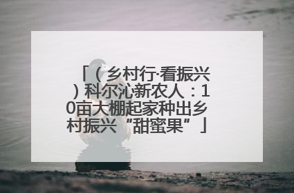 （乡村行·看振兴）科尔沁新农人：10亩大棚起家种出乡村振兴“甜蜜果”