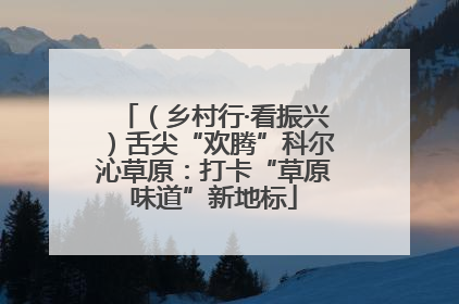 （乡村行·看振兴）舌尖“欢腾”科尔沁草原：打卡“草原味道”新地标