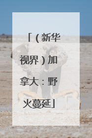 （新华视界）加拿大：野火蔓延