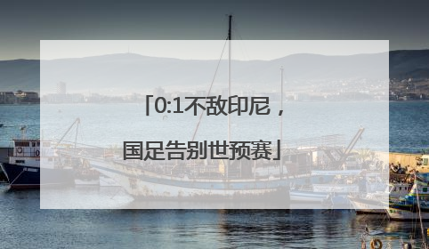 0:1不敌印尼，国足告别世预赛