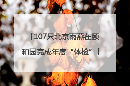 107只北京雨燕在颐和园完成年度“体检”