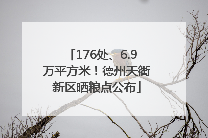 176处、6.9万平方米！德州天衢新区晒粮点公布