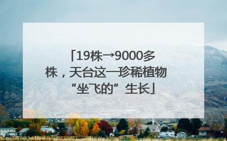 19株→9000多株，天台这一珍稀植物“坐飞的”生长