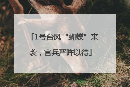 1号台风“蝴蝶”来袭，官兵严阵以待