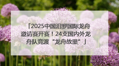 2025中国汨罗国际龙舟邀请赛开赛！24支国内外龙舟队竞渡“龙舟故里”