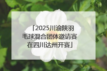2025川渝陕羽毛球混合团体邀请赛在四川达州开赛
