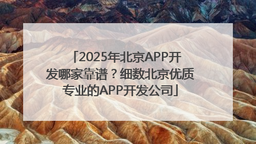 2025年北京APP开发哪家靠谱？细数北京优质专业的APP开发公司
