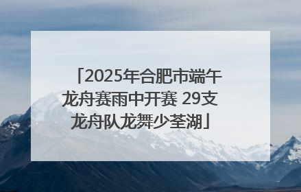 2025年合肥市端午龙舟赛雨中开赛 29支龙舟队龙舞少荃湖