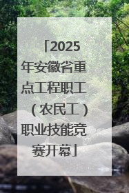 2025年安徽省重点工程职工（农民工）职业技能竞赛开幕