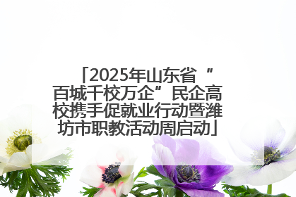 2025年山东省“百城千校万企”民企高校携手促就业行动暨潍坊市职教活动周启动