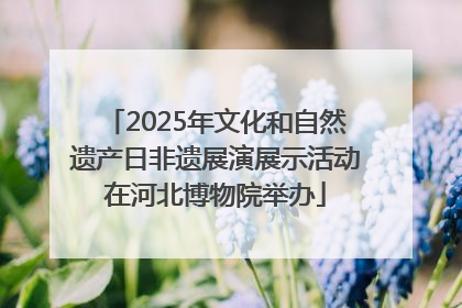 2025年文化和自然遗产日非遗展演展示活动在河北博物院举办