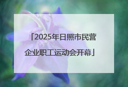 2025年日照市民营企业职工运动会开幕