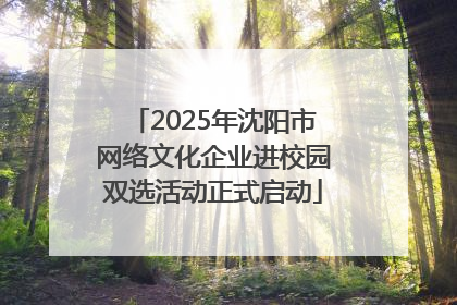 2025年沈阳市网络文化企业进校园双选活动正式启动