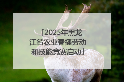 2025年黑龙江省农业春播劳动和技能竞赛启动