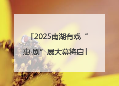 2025南湖有戏“惠·剧”展大幕将启