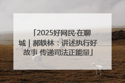 2025好网民·在聊城｜郝轶林：讲述执行好故事 传递司法正能量