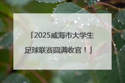 2025威海市大学生足球联赛圆满收官！