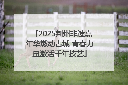 2025荆州非遗嘉年华燃动古城 青春力量激活千年技艺