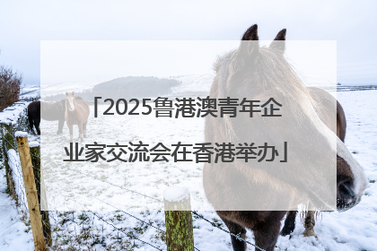 2025鲁港澳青年企业家交流会在香港举办