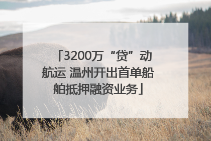 3200万“贷”动航运 温州开出首单船舶抵押融资业务