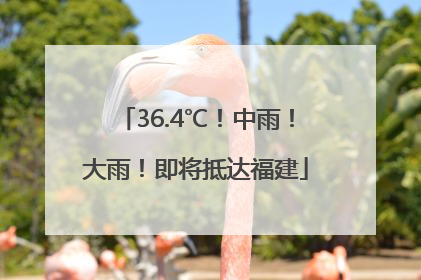 36.4℃！中雨！大雨！即将抵达福建
