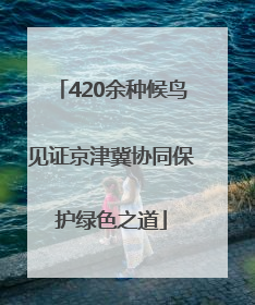 420余种候鸟见证京津冀协同保护绿色之道