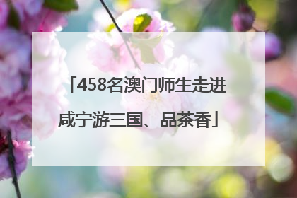 458名澳门师生走进咸宁游三国、品茶香