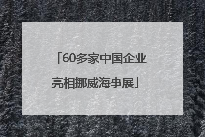 60多家中国企业亮相挪威海事展