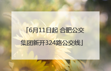 6月11日起 合肥公交集团新开324路公交线