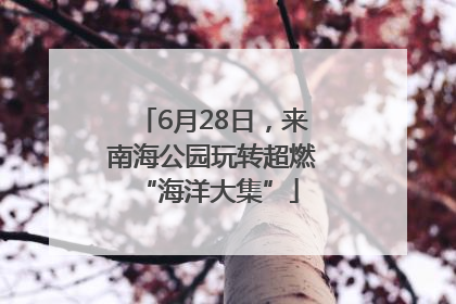 6月28日，来南海公园玩转超燃 “海洋大集”