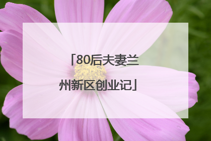 80后夫妻兰州新区创业记