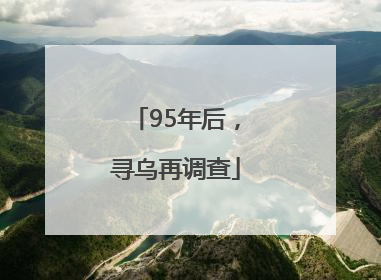 95年后，寻乌再调查
