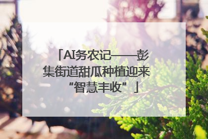 AI务农记——彭集街道甜瓜种植迎来“智慧丰收”